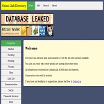 GOOGLE ONION V3